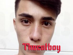 Thecatboy