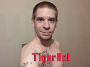 TigerKat