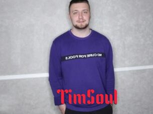 TimSoul