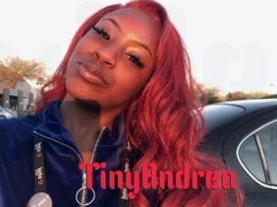 TinyAndrea