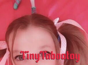 TinyTabootoy