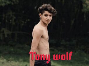 Tony_wolf