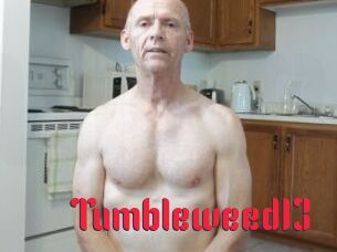 Tumbleweed13