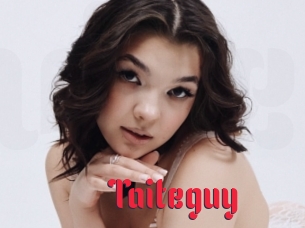 Taiteguy