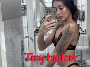 Tiny_taylorr