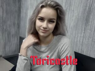 Toricastle