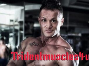 Tridentmuscles4u