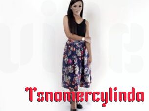 Tsnomercylinda