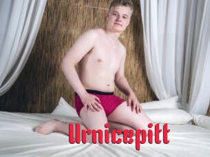 Urnicepitt