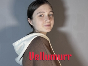 Vellumurr