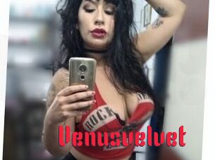 Venusvelvet