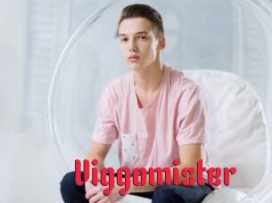 Viggomister