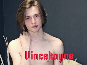 Vincekayne