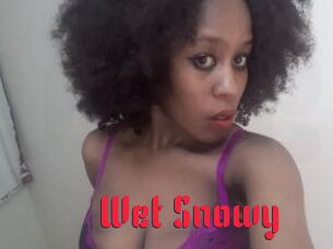 Wet_Snowy