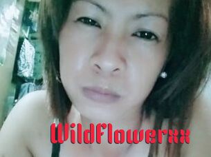 WildFlowerxx