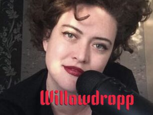 Willowdropp