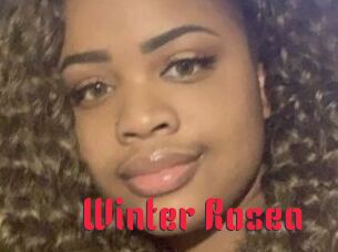 Winter_Rosea