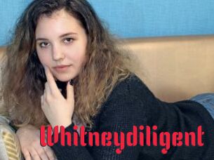 Whitneydiligent