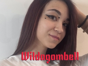 Wildagambell