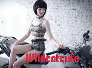 Wildcatcute