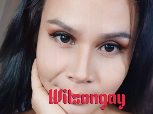 Wilsongay