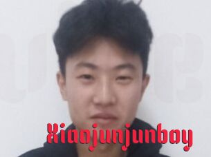 Xiaojunjunboy