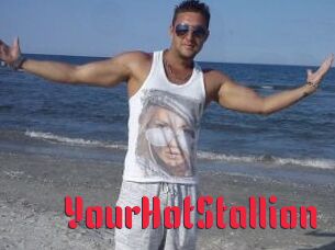 YourHotStallion